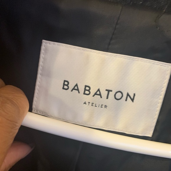 Babaton Wool and Cashmere Coat with Hood - Picture 2 of 9